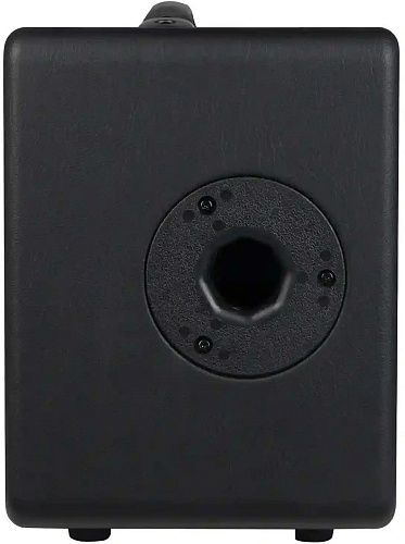 Joyo AC-20S Комбоусилитель для акустической гитары.