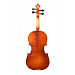 Andrew Fuchs M-2 1/2 Скрипка.-1