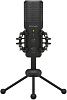 Behringer BU200 Студийный конденсаторный микрофон премиум-класса с USB портом.-0