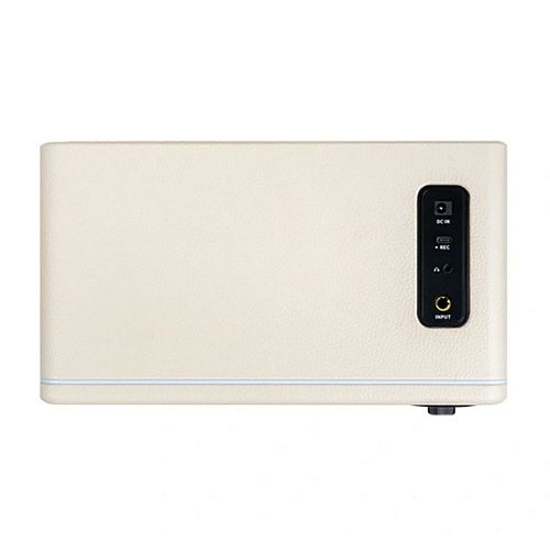 Mooer DH15i WH Моделирующий гитарный комбоусилитель.