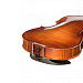 Andrew Fuchs L-2 4/4 Скрипка.-3