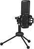 Behringer BU200 Студийный конденсаторный микрофон премиум-класса с USB портом.-1